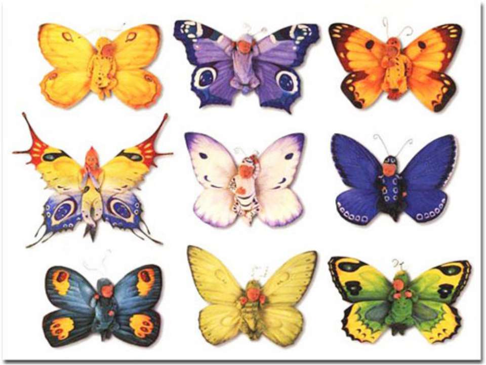 Бабочки 7 класс - Скачать Читать Лучшую Школьную Библиотеку Учебников (100% Бесплатно!)