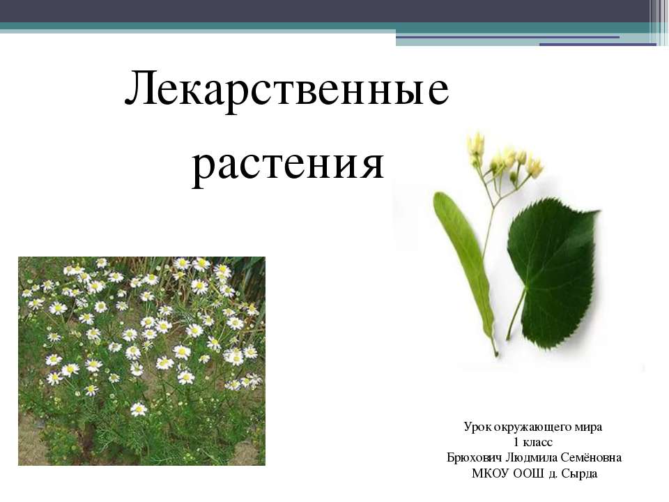 Польза лекарственных растений - Скачать Читать Лучшую Школьную Библиотеку Учебников (100% Бесплатно!)