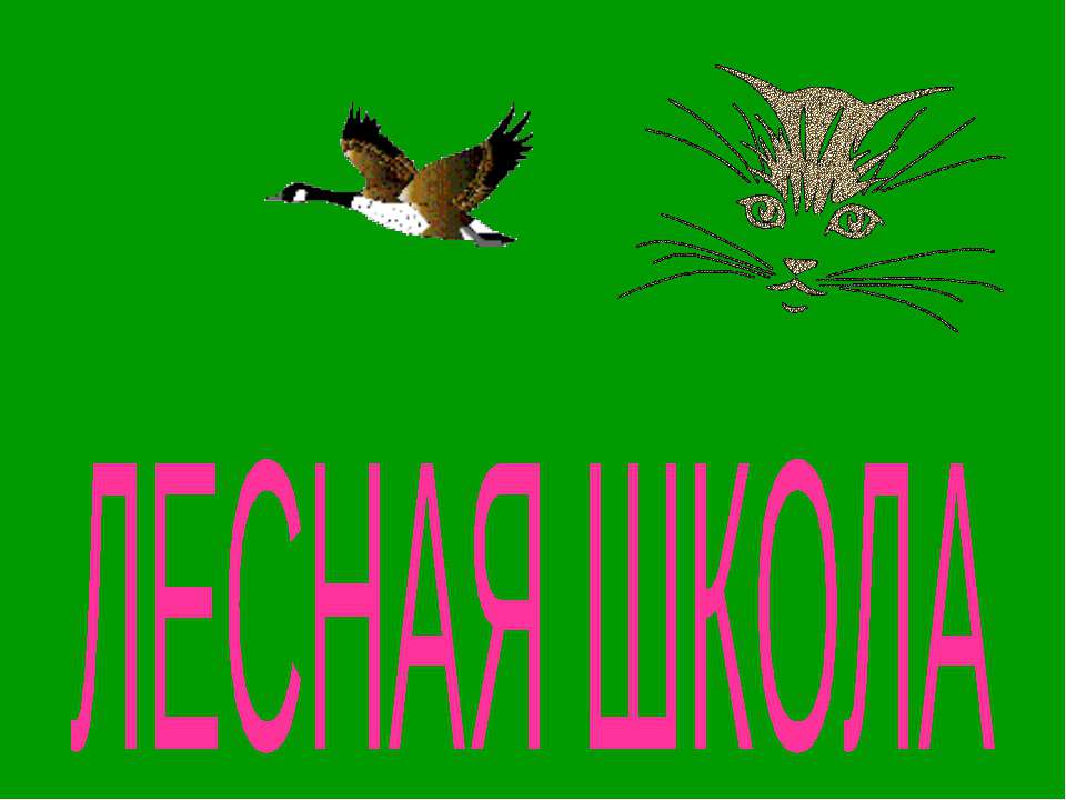 Лесная школа - Скачать Читать Лучшую Школьную Библиотеку Учебников (100% Бесплатно!)