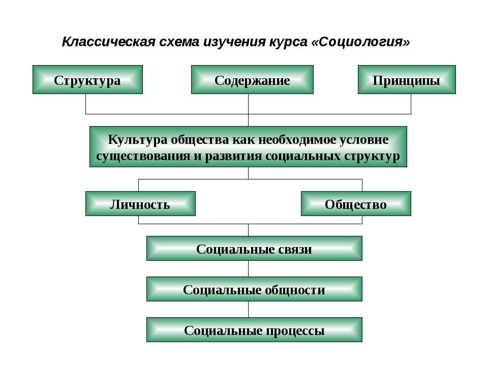 Классическая схема изучения курса «Социология» - Скачать Читать Лучшую Школьную Библиотеку Учебников (100% Бесплатно!)