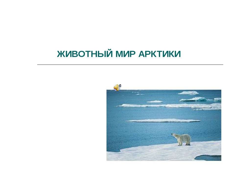 Животный мир Арктики - Скачать Читать Лучшую Школьную Библиотеку Учебников (100% Бесплатно!)