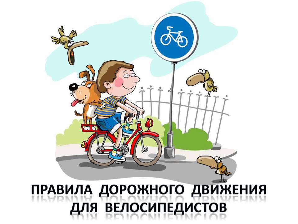 Правила дорожного движения для велосипедистов - Скачать Читать Лучшую Школьную Библиотеку Учебников (100% Бесплатно!)