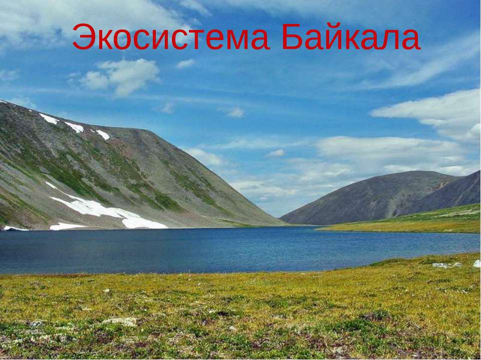 Экосистема Байкала - Скачать Читать Лучшую Школьную Библиотеку Учебников (100% Бесплатно!)