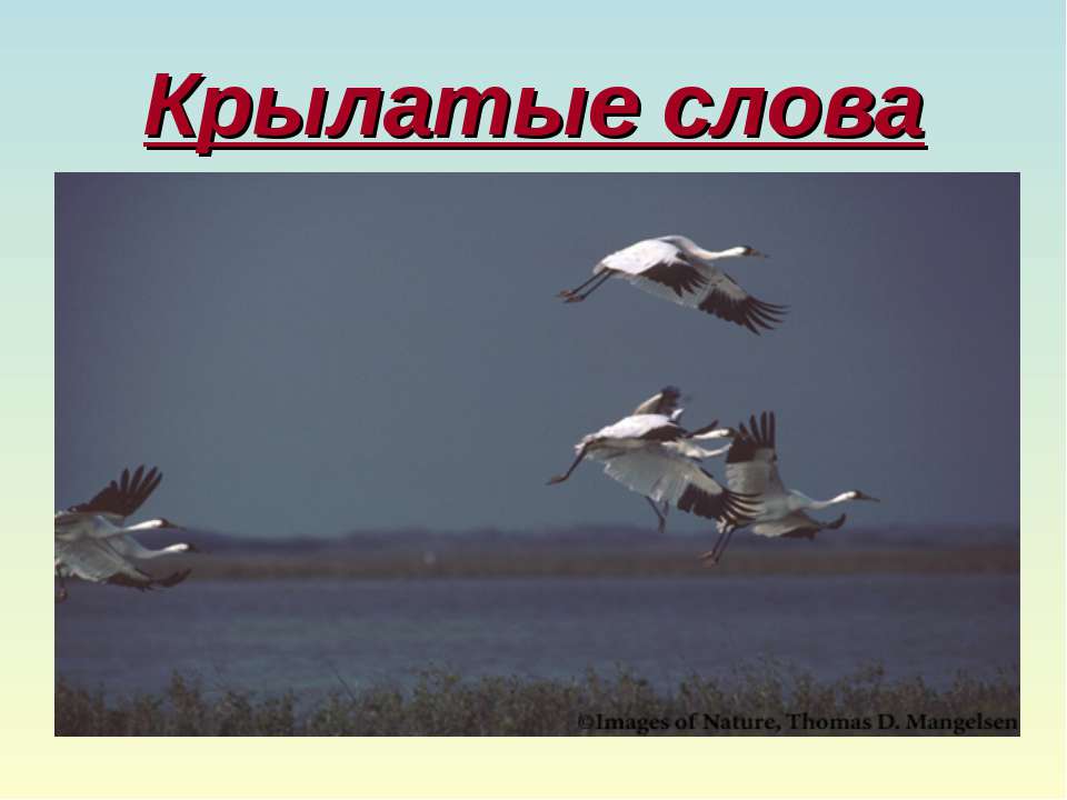 Крылатые слова - Скачать Читать Лучшую Школьную Библиотеку Учебников (100% Бесплатно!)