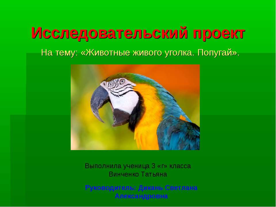 Животные живого уголка. Попугай - Скачать Читать Лучшую Школьную Библиотеку Учебников (100% Бесплатно!)