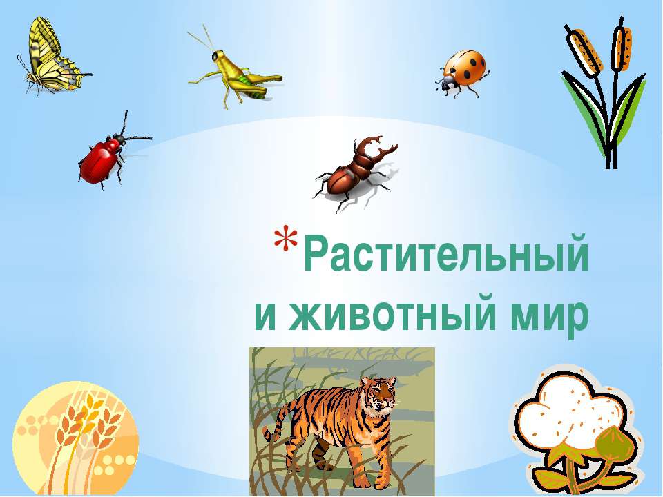 Растительный и животный мир - Скачать Читать Лучшую Школьную Библиотеку Учебников (100% Бесплатно!)