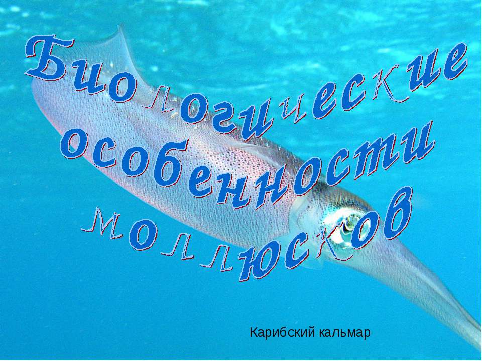 Биологические особенности моллюсков - Скачать Читать Лучшую Школьную Библиотеку Учебников (100% Бесплатно!)