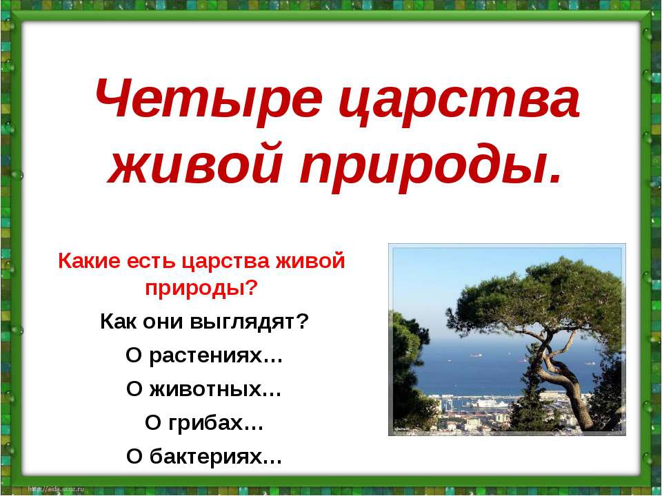 4 царства - Скачать Читать Лучшую Школьную Библиотеку Учебников (100% Бесплатно!)