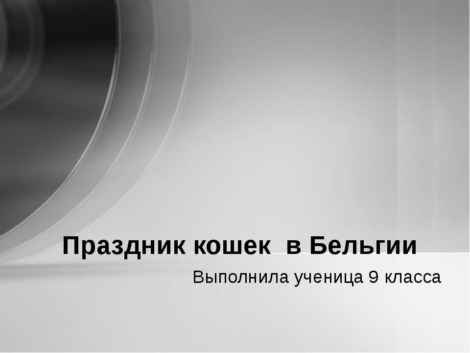 Праздник кошек в Бельгии - Скачать Читать Лучшую Школьную Библиотеку Учебников