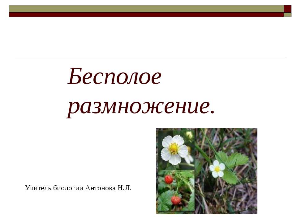 Бесполое размножение 9 класс - Скачать Читать Лучшую Школьную Библиотеку Учебников