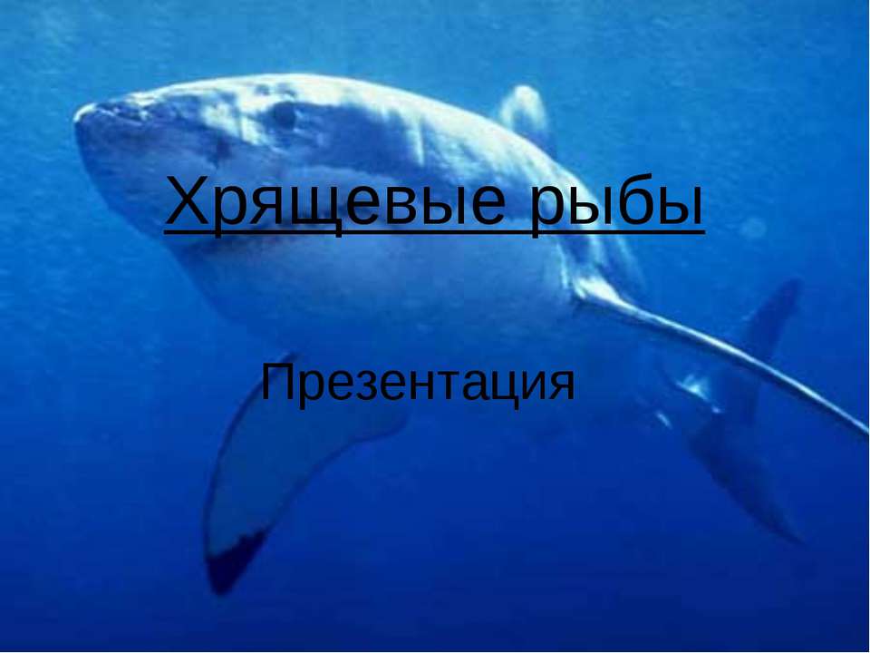 Хрящевые рыбы - Скачать Читать Лучшую Школьную Библиотеку Учебников (100% Бесплатно!)