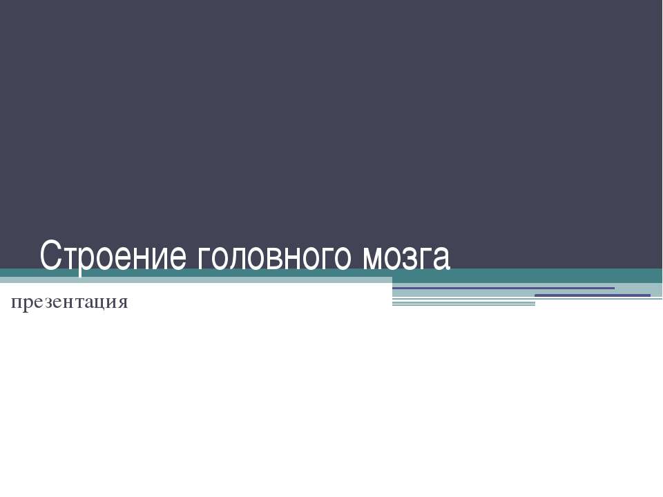 Строение головного мозга - Скачать Читать Лучшую Школьную Библиотеку Учебников (100% Бесплатно!)