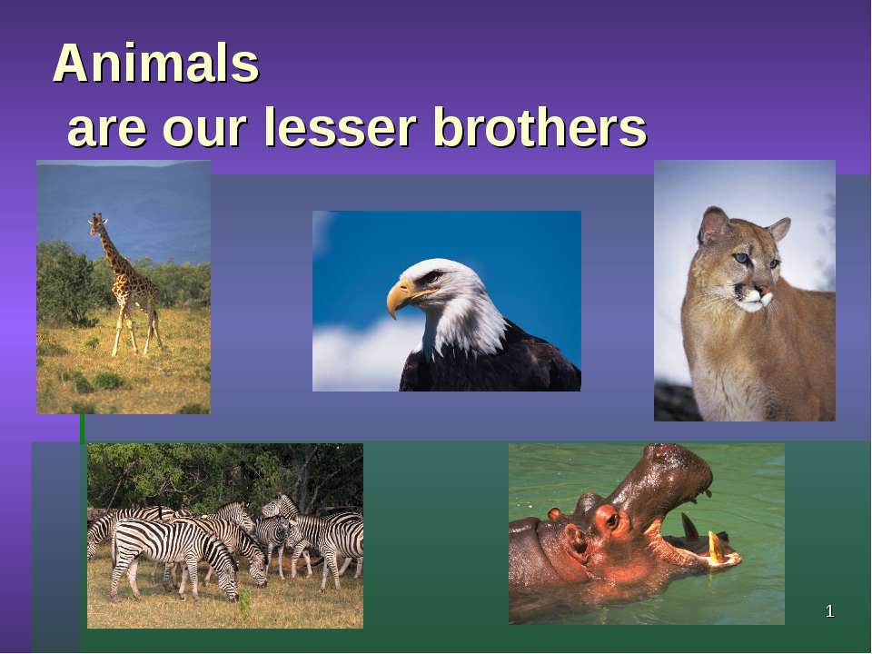 Animals are our lesser brothers - Скачать Читать Лучшую Школьную Библиотеку Учебников