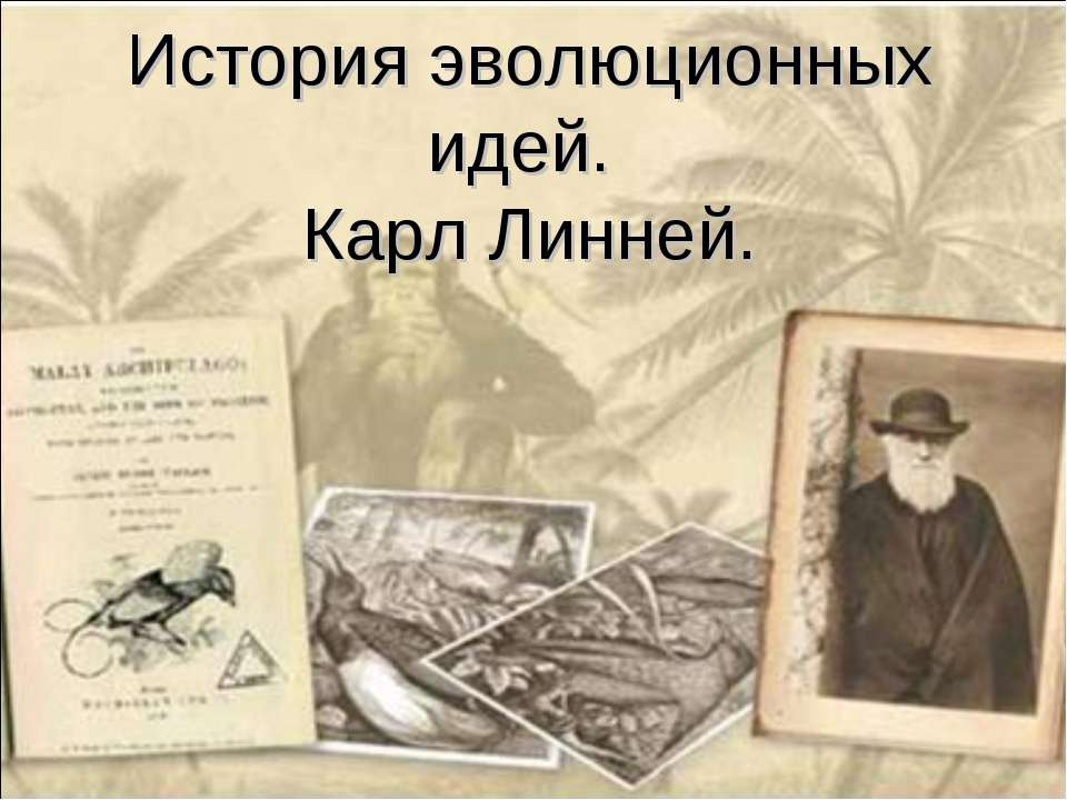 История эволюционных идей. Карл Линней - Скачать Читать Лучшую Школьную Библиотеку Учебников (100% Бесплатно!)