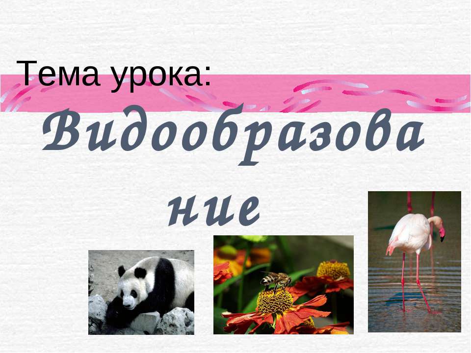 Видообразование - Скачать Читать Лучшую Школьную Библиотеку Учебников (100% Бесплатно!)