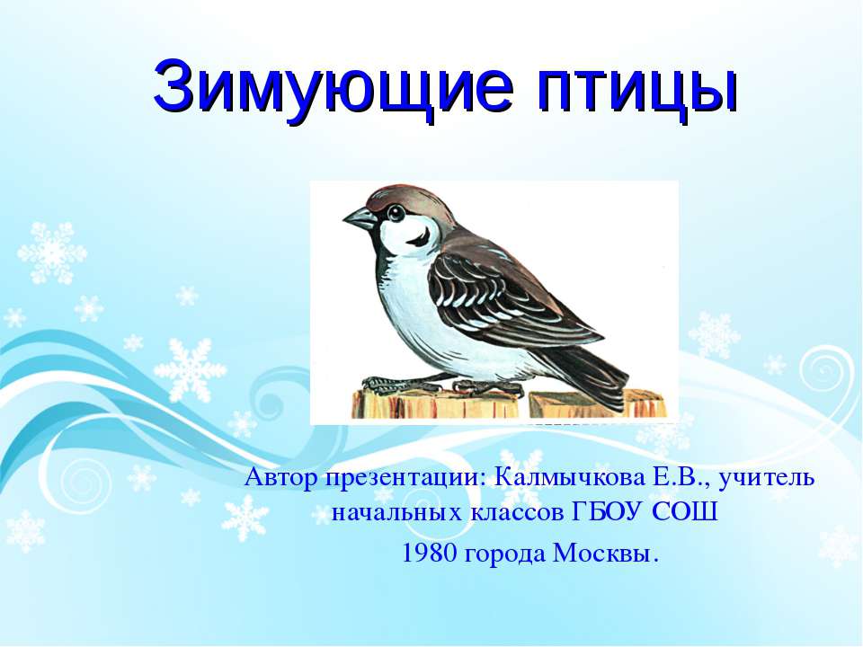 Зимующие птицы 1 класс - Скачать Читать Лучшую Школьную Библиотеку Учебников (100% Бесплатно!)