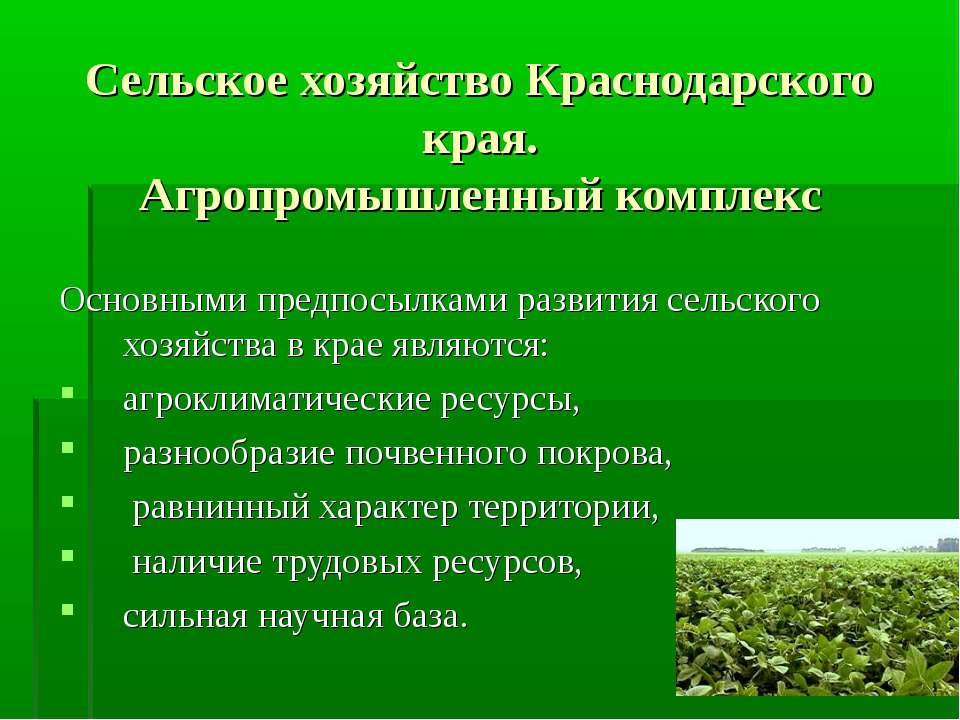 Сельское хозяйство Краснодарского края. Агропромышленный комплекс - Скачать Читать Лучшую Школьную Библиотеку Учебников