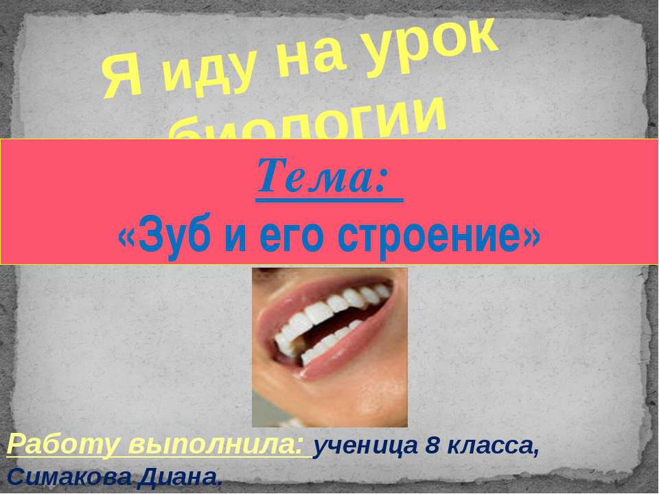 Зуб и его строение - Скачать Читать Лучшую Школьную Библиотеку Учебников (100% Бесплатно!)