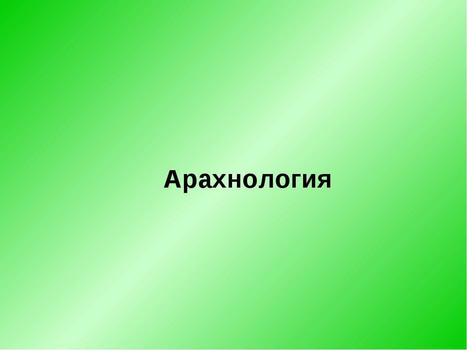 Арахнология - Скачать Читать Лучшую Школьную Библиотеку Учебников (100% Бесплатно!)