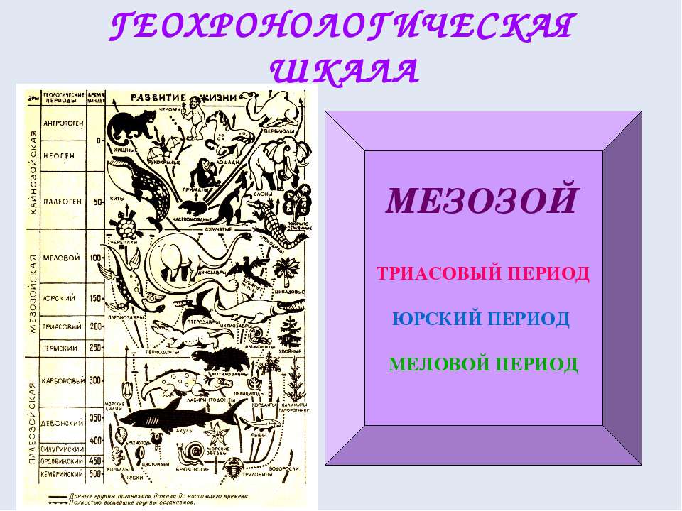 Мезозой - Скачать Читать Лучшую Школьную Библиотеку Учебников (100% Бесплатно!)