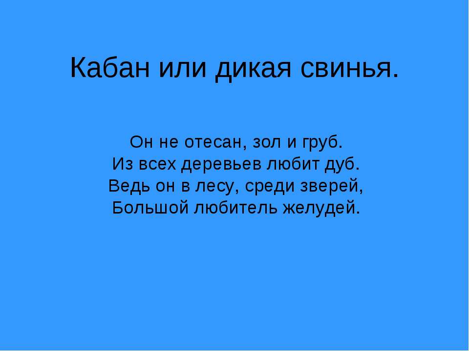 Кабан или дикая свинья - Скачать Читать Лучшую Школьную Библиотеку Учебников (100% Бесплатно!)