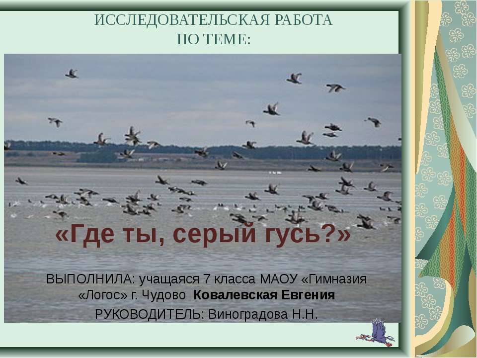 Где ты, серый гусь? - Скачать Читать Лучшую Школьную Библиотеку Учебников (100% Бесплатно!)