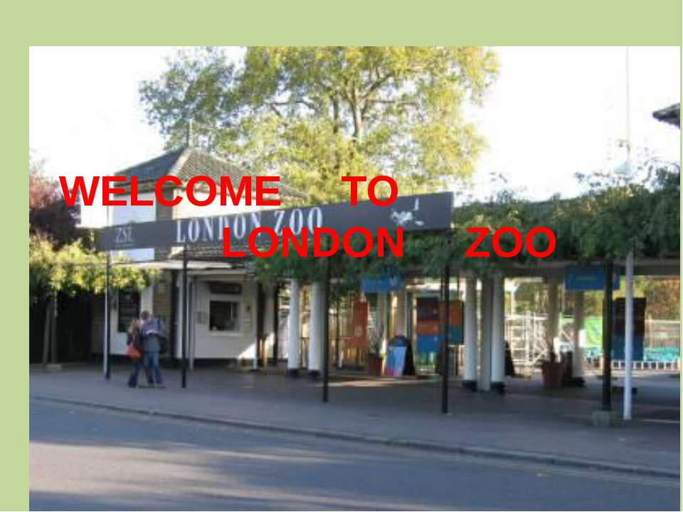 Welcome to London zoo - Скачать Читать Лучшую Школьную Библиотеку Учебников (100% Бесплатно!)