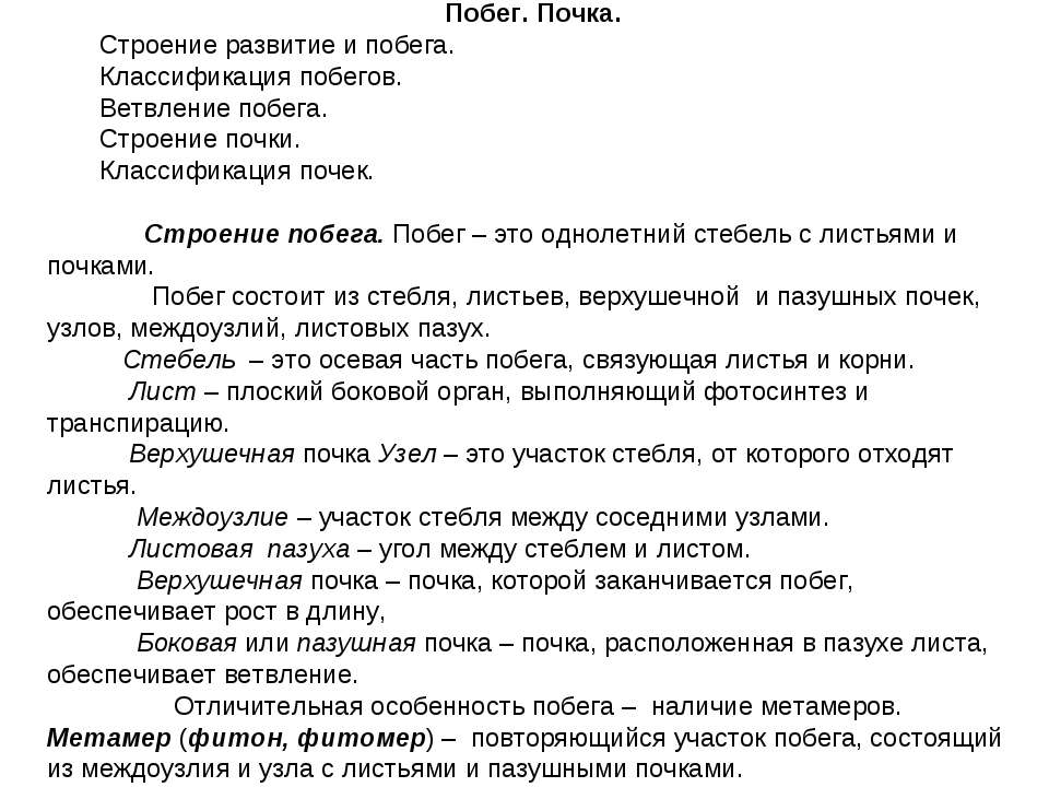 Побег. Почка - Скачать Читать Лучшую Школьную Библиотеку Учебников