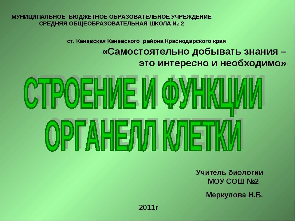 Строение и функции органелл клетки - Скачать Читать Лучшую Школьную Библиотеку Учебников (100% Бесплатно!)