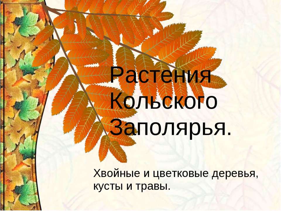 Растения Кольского Заполярья - Скачать Читать Лучшую Школьную Библиотеку Учебников (100% Бесплатно!)