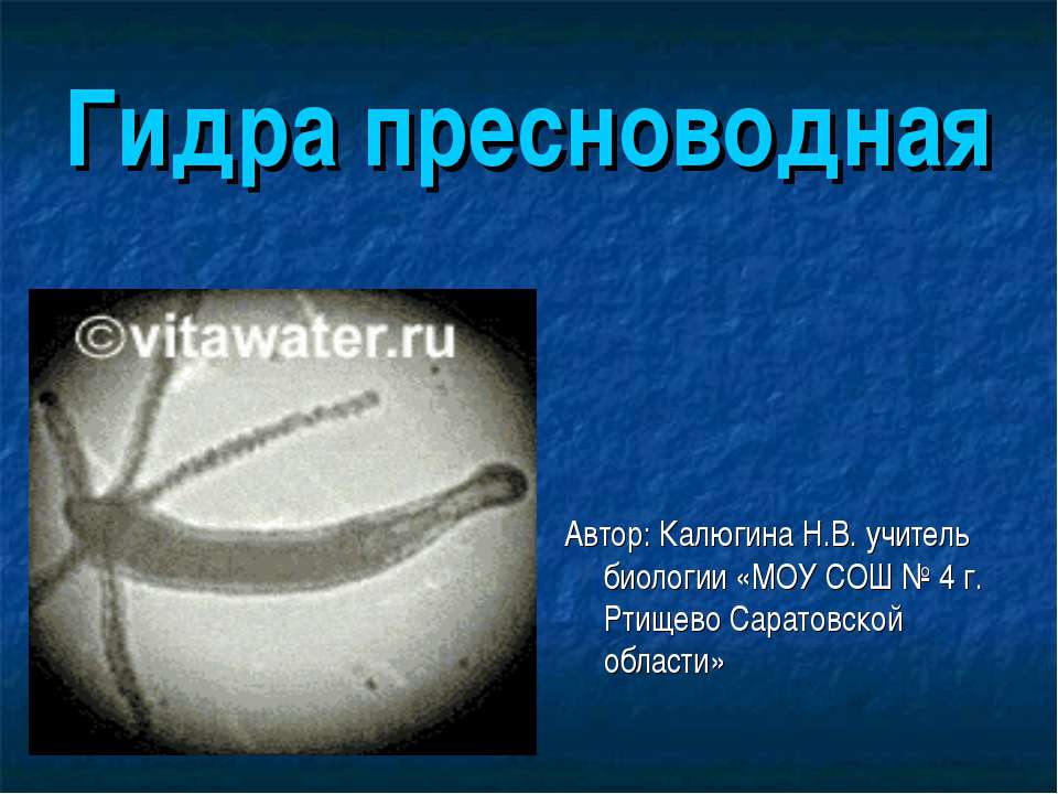 Гидра пресноводная - Скачать Читать Лучшую Школьную Библиотеку Учебников (100% Бесплатно!)