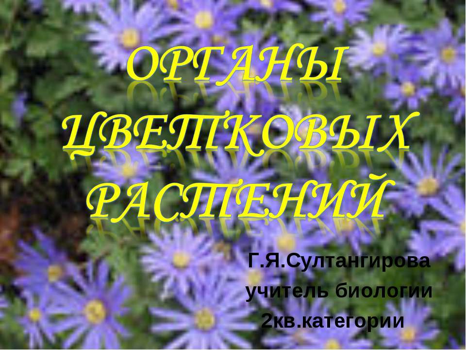 Органы цветковых растений - Скачать Читать Лучшую Школьную Библиотеку Учебников (100% Бесплатно!)