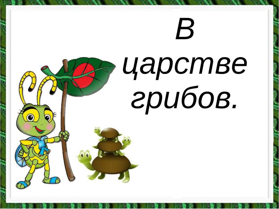 В царстве грибов - Скачать Читать Лучшую Школьную Библиотеку Учебников