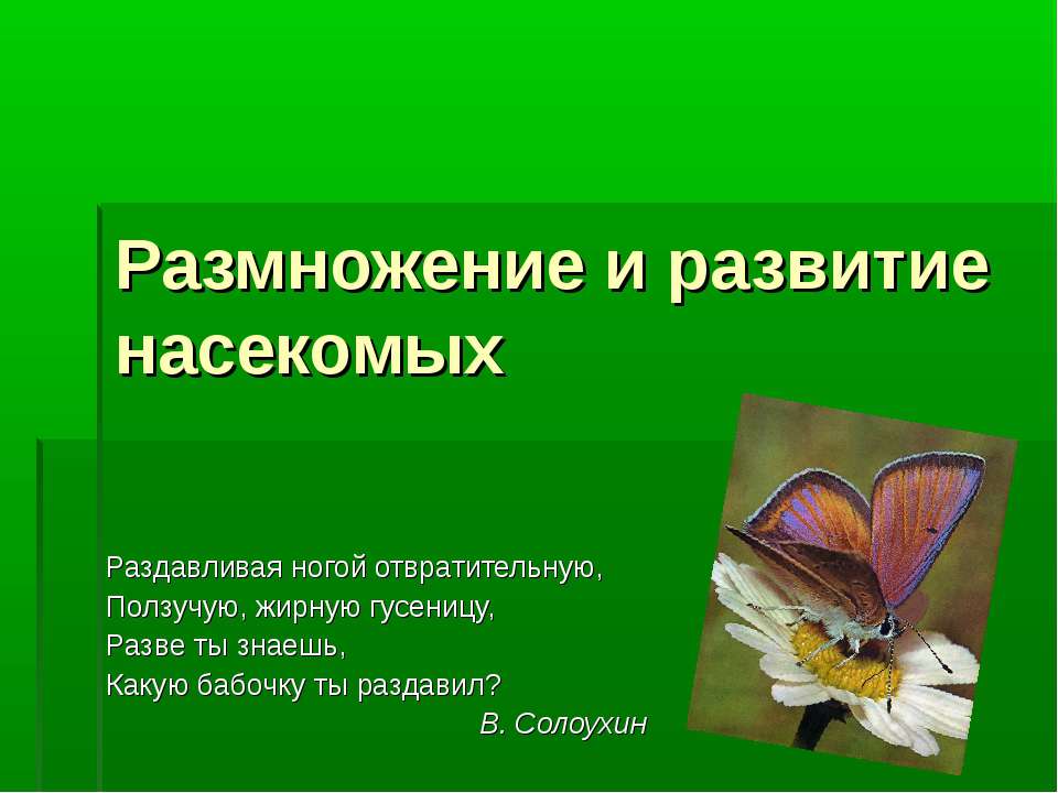 Размножение и развитие насекомых - Скачать Читать Лучшую Школьную Библиотеку Учебников (100% Бесплатно!)