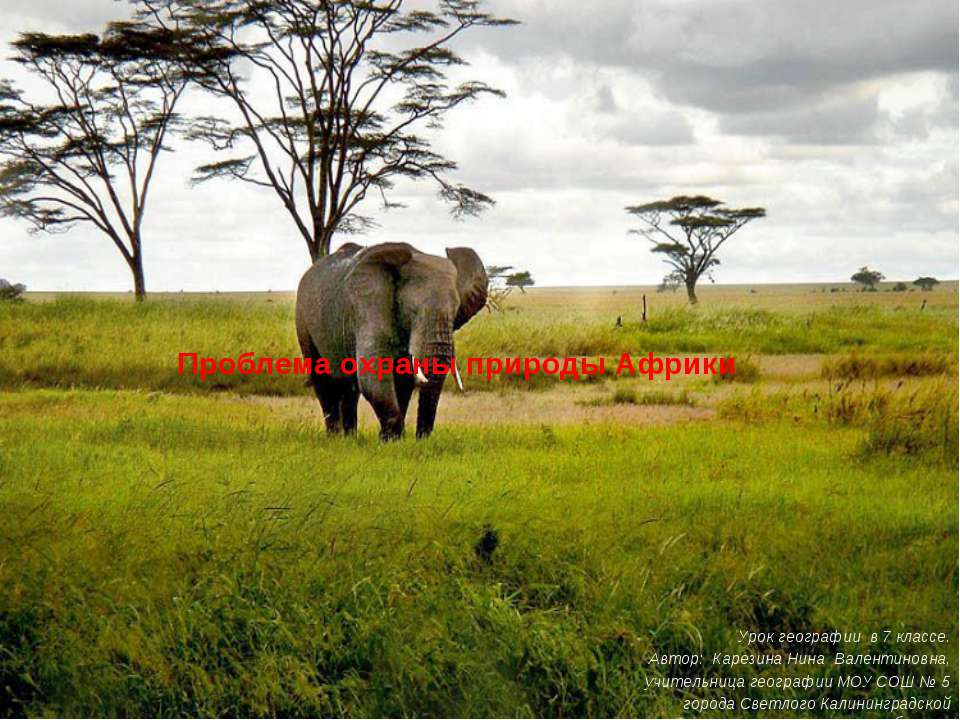 Проблема охраны природы Африки - Скачать Читать Лучшую Школьную Библиотеку Учебников (100% Бесплатно!)