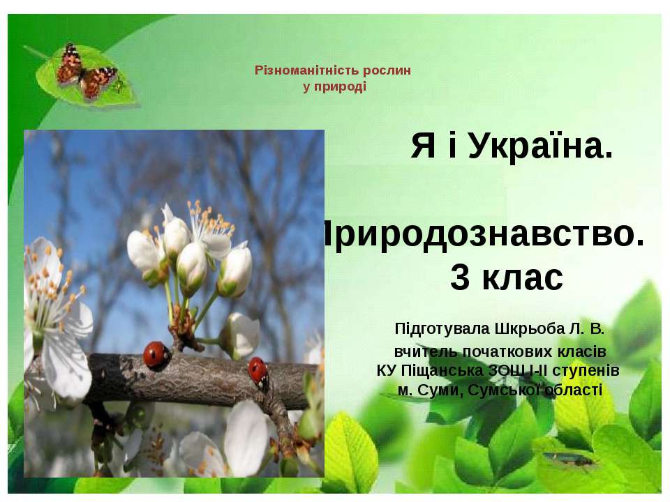 Різноманітність рослин у природі - Скачать Читать Лучшую Школьную Библиотеку Учебников (100% Бесплатно!)