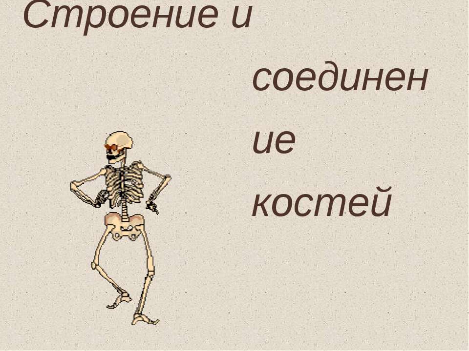 Строение и соединение костей - Скачать Читать Лучшую Школьную Библиотеку Учебников