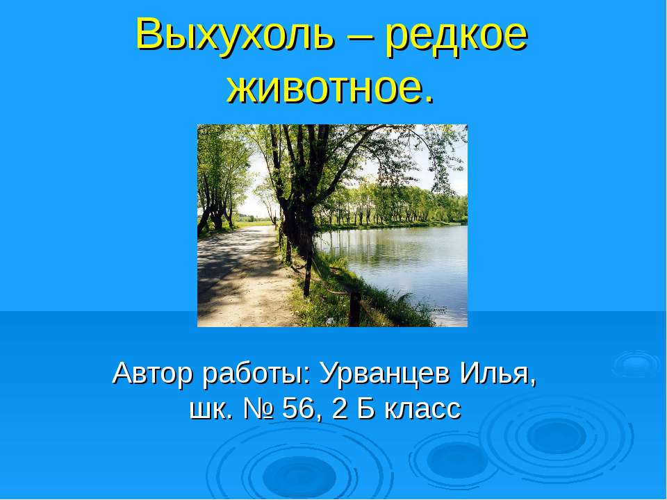 Выхухоль – редкое животное - Скачать Читать Лучшую Школьную Библиотеку Учебников (100% Бесплатно!)