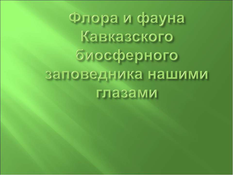 Флора и фауна Кавказского биосферного заповедника нашими глазами - Скачать Читать Лучшую Школьную Библиотеку Учебников (100% Бесплатно!)