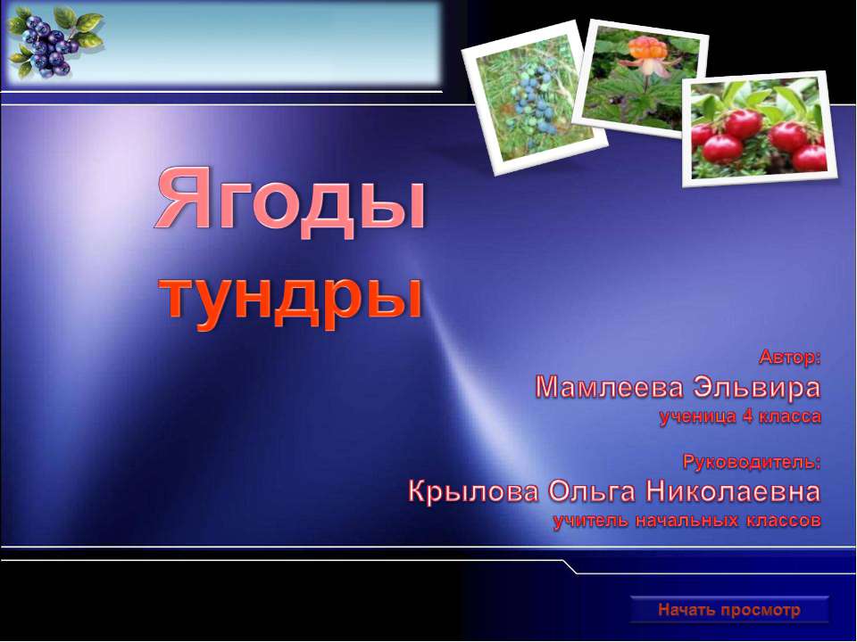 Ягоды тундры - Скачать Читать Лучшую Школьную Библиотеку Учебников (100% Бесплатно!)