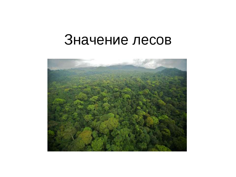 Значение лесов - Скачать Читать Лучшую Школьную Библиотеку Учебников (100% Бесплатно!)