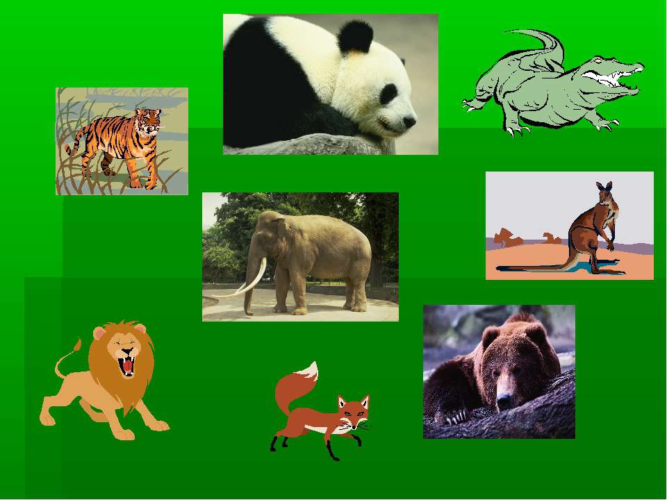 Wild animals - Скачать Читать Лучшую Школьную Библиотеку Учебников