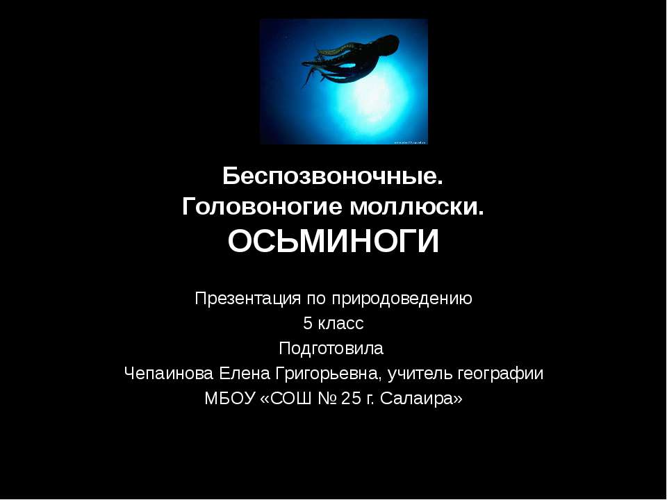 Беспозвоночные. Головоногие моллюски. Осьминоги - Скачать Читать Лучшую Школьную Библиотеку Учебников (100% Бесплатно!)