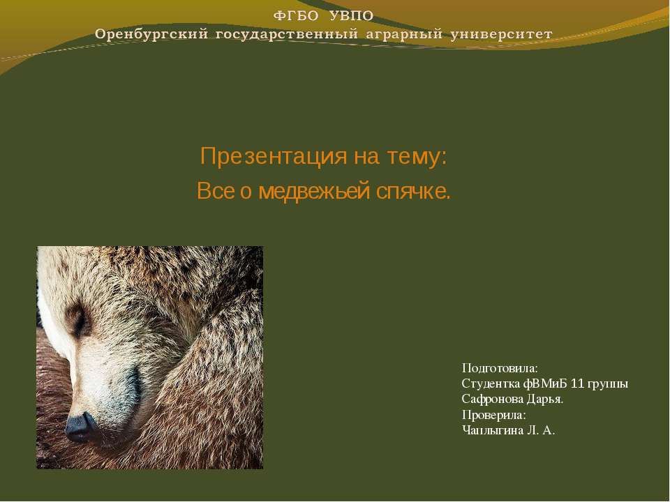 Все о медвежьей спячке - Скачать Читать Лучшую Школьную Библиотеку Учебников (100% Бесплатно!)