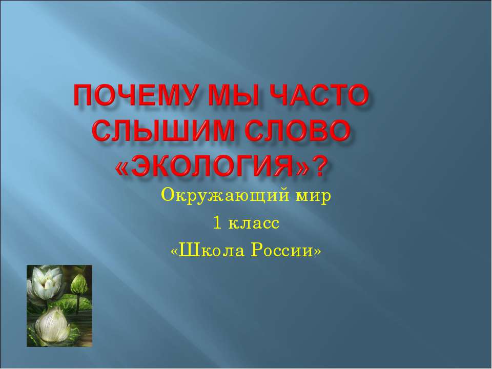 Почему мы часто слышим слово «экология»? (1 класс) - Скачать Читать Лучшую Школьную Библиотеку Учебников (100% Бесплатно!)