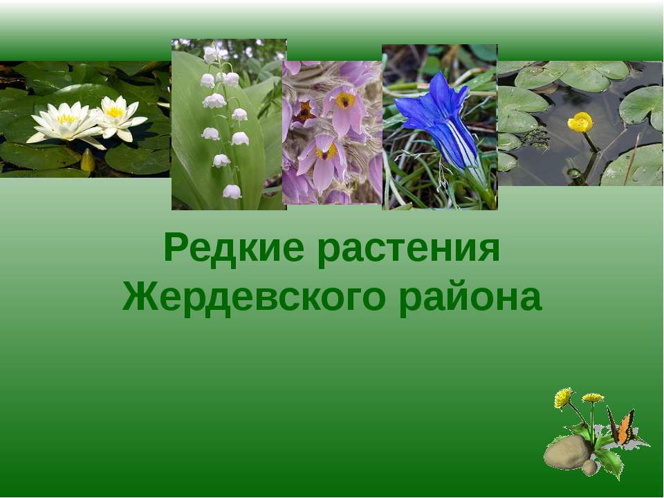 Редкие растения Жердевского района - Скачать Читать Лучшую Школьную Библиотеку Учебников (100% Бесплатно!)