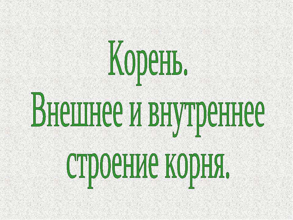 Корень. Внешнее и внутреннее строение корня - Скачать Читать Лучшую Школьную Библиотеку Учебников