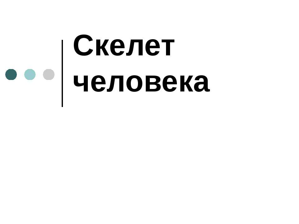 Скелет человека 8 класс - Скачать Читать Лучшую Школьную Библиотеку Учебников (100% Бесплатно!)