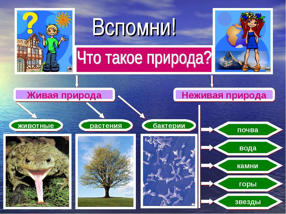 Рукотворная жизнь - Скачать Читать Лучшую Школьную Библиотеку Учебников (100% Бесплатно!)