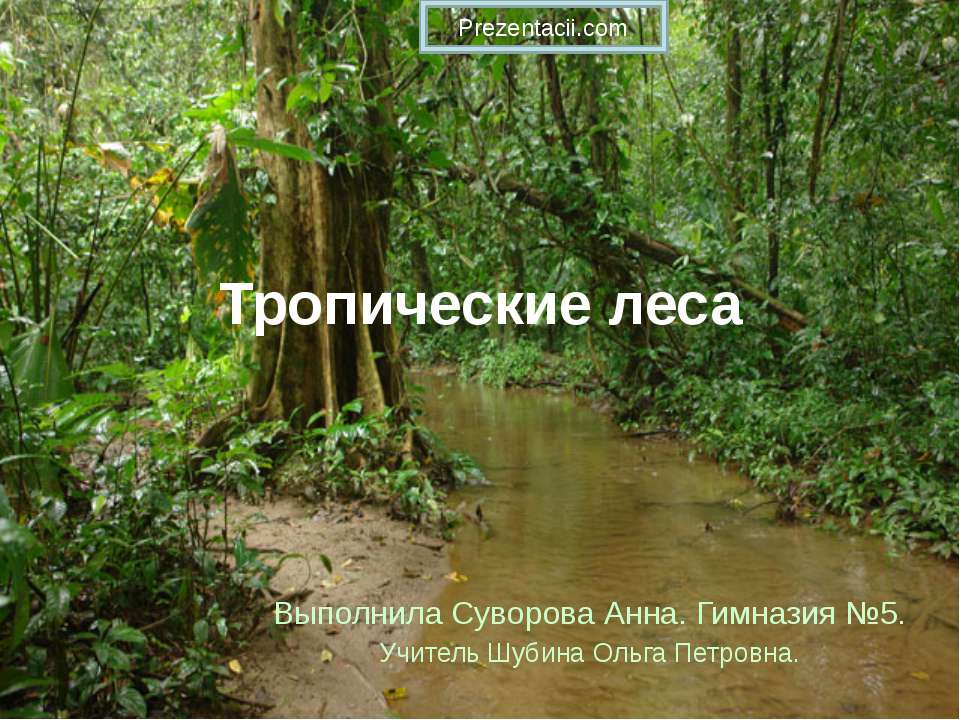 Тропические леса - Скачать Читать Лучшую Школьную Библиотеку Учебников (100% Бесплатно!)